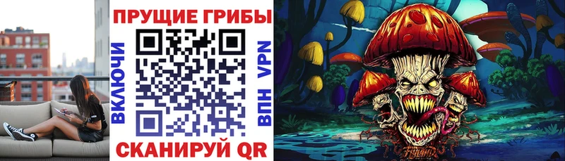 Псилоцибиновые грибы MAGIC MUSHROOMS  shop как зайти  Новоузенск  KRAKEN зеркало 