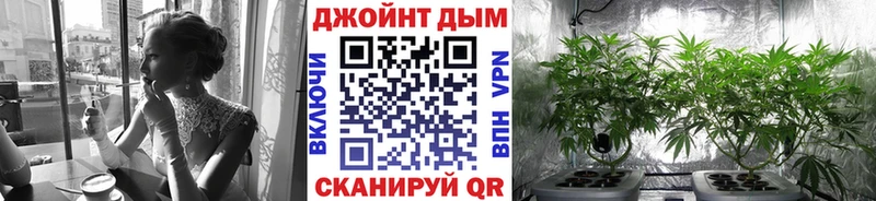 Шишки марихуана MAZAR  закладки  kraken онион  Новоузенск 